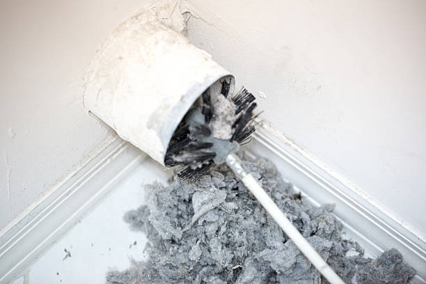 Best Professional Duct Cleaning Services  in South Waverly, PA