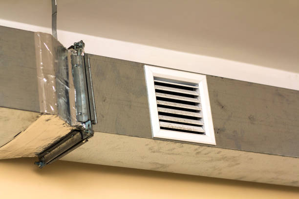 Air Duct Mold Removal in South Waverly, PA